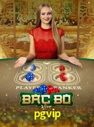 PGVIP.COM
