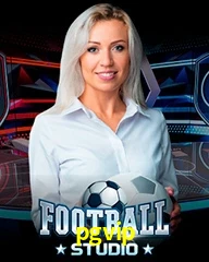 PGVIP.COM