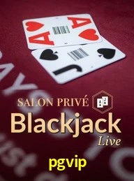 PGVIP.COM