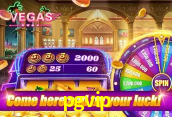 Descubra o Mundo do Cassino Online com pgvip