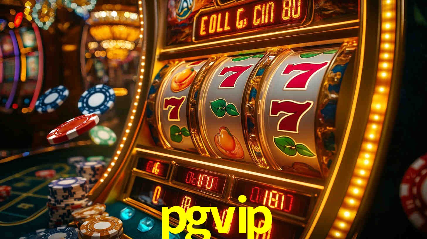 pgvip App Interface